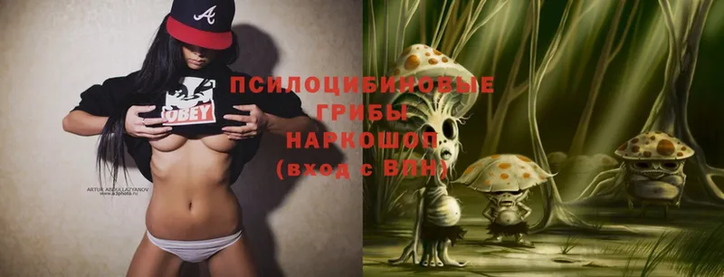 Галлюциногенные грибы Magic Shrooms Нефтекамск